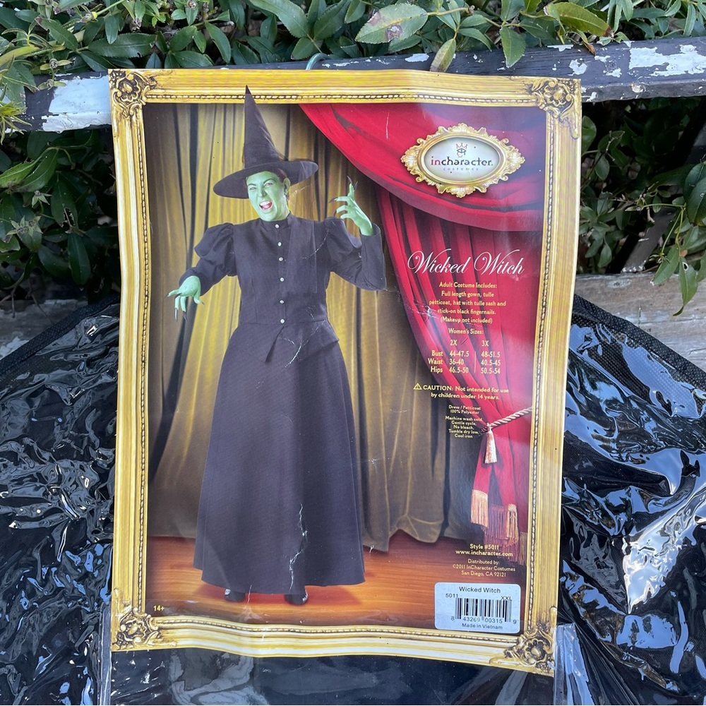 Wicked witch Halloween costume Womens 2XL wizard of Oz